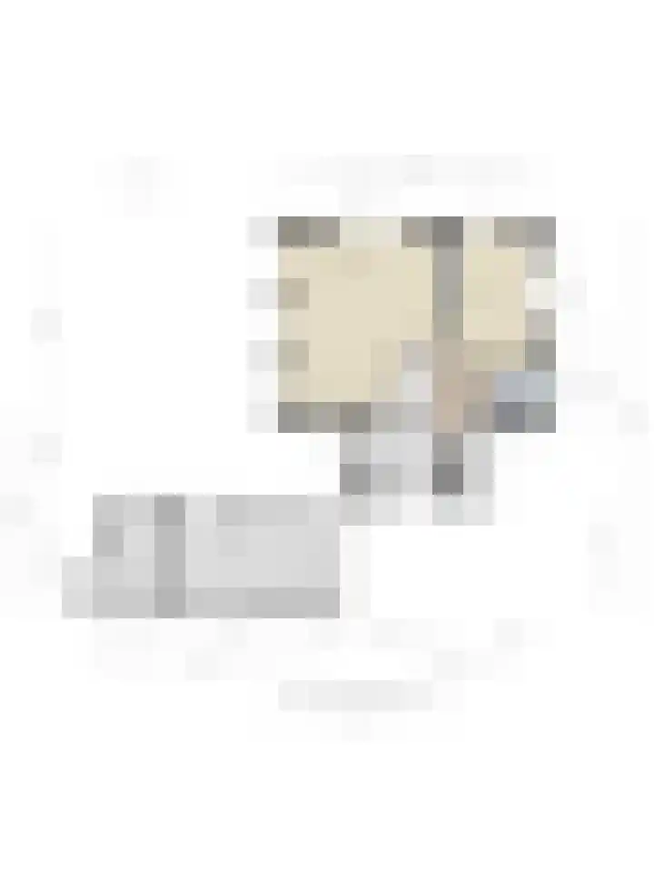 Windmolen 2 de Lutte thumbnail 22