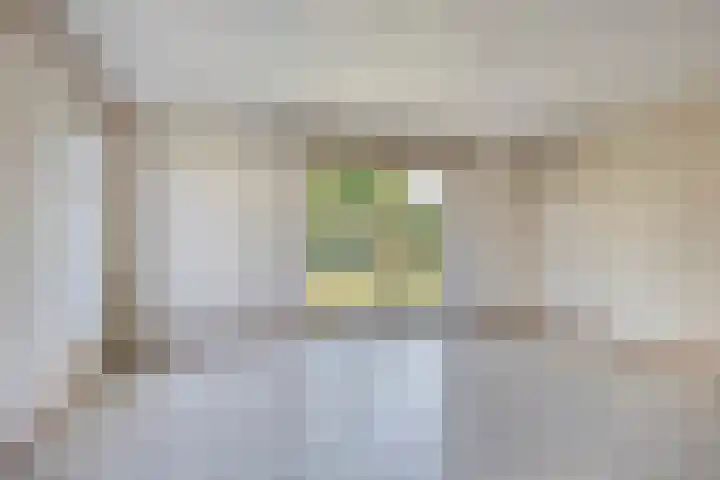 Windmolen 2 de Lutte thumbnail 4