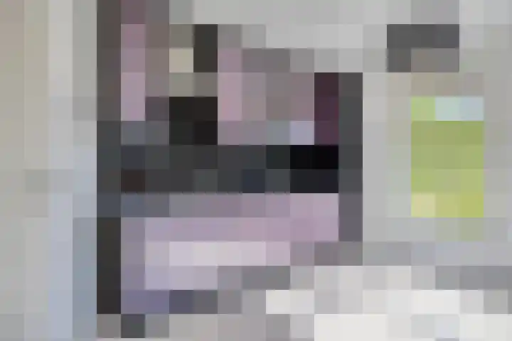 Windmolen 2 de Lutte thumbnail 7