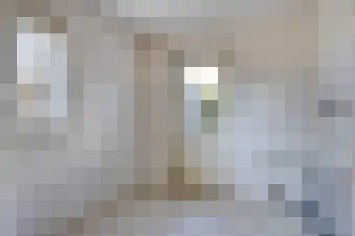Windmolen 2 de Lutte thumbnail 9