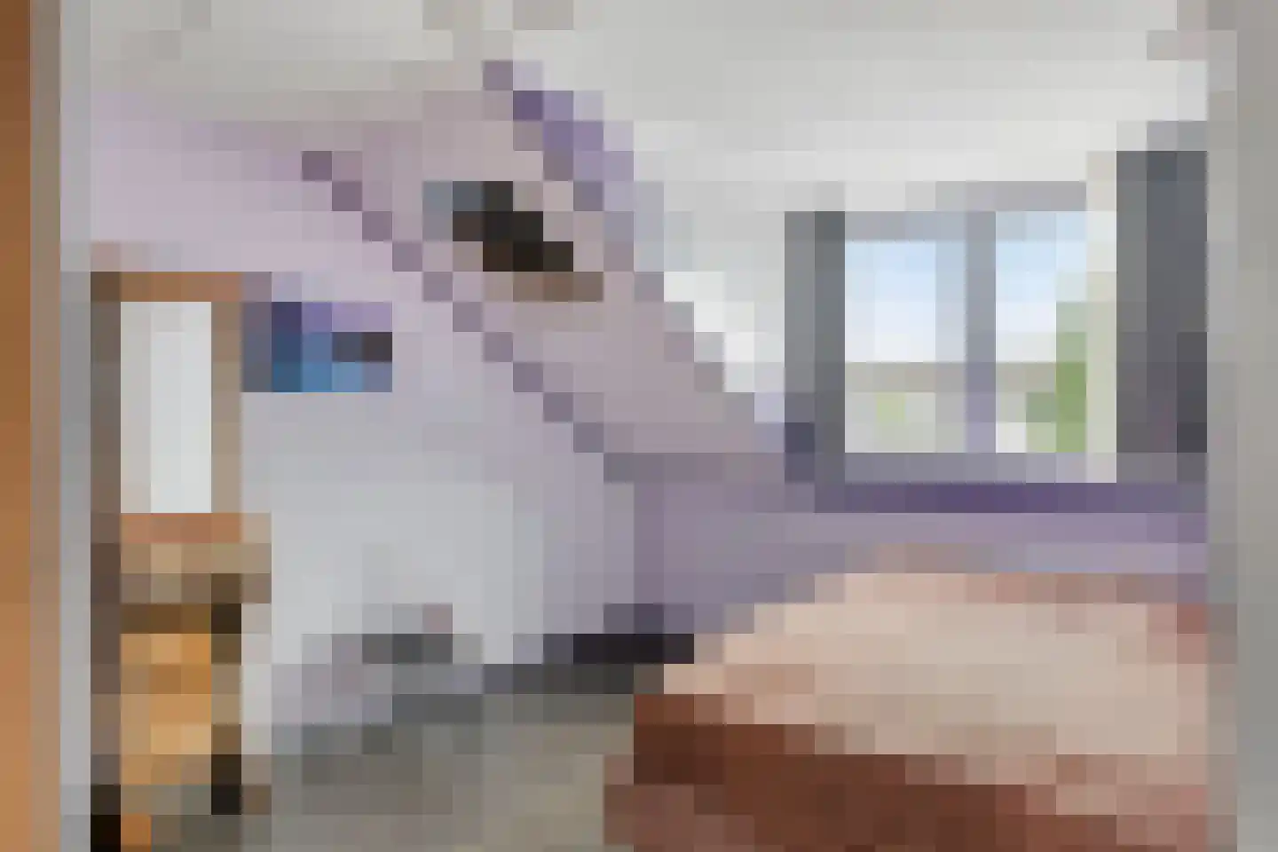 Windmolen 2 Edam thumbnail 23