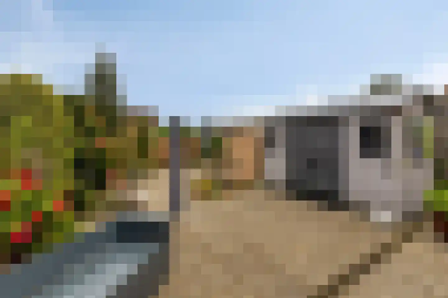 Windmolen 2 Edam thumbnail 29