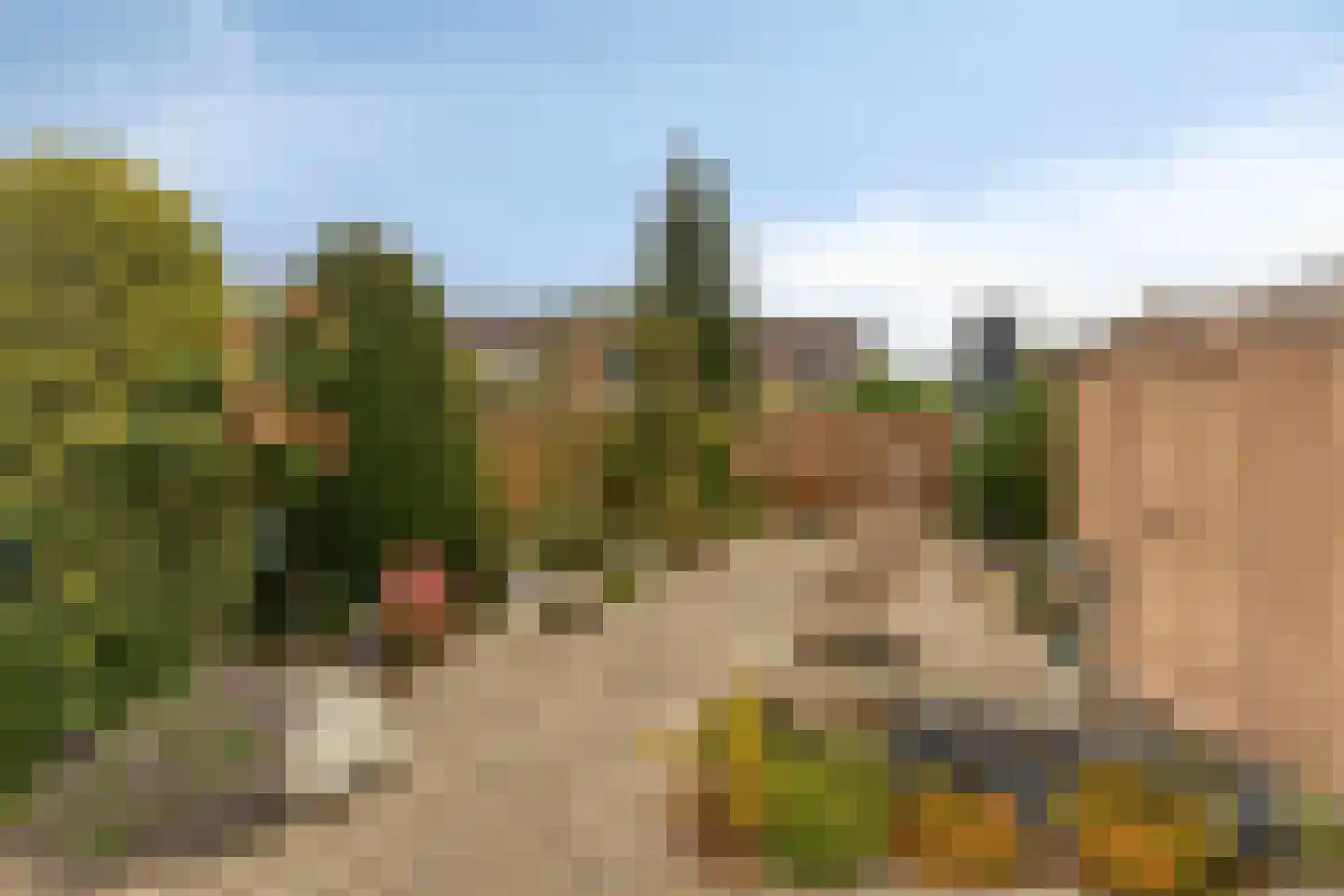 Windmolen 2 Edam thumbnail 6