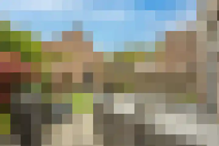 Windmolen 25 Ridderkerk thumbnail 19