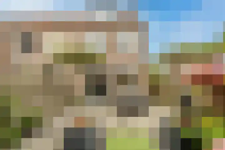 Windmolen 25 Ridderkerk thumbnail 20