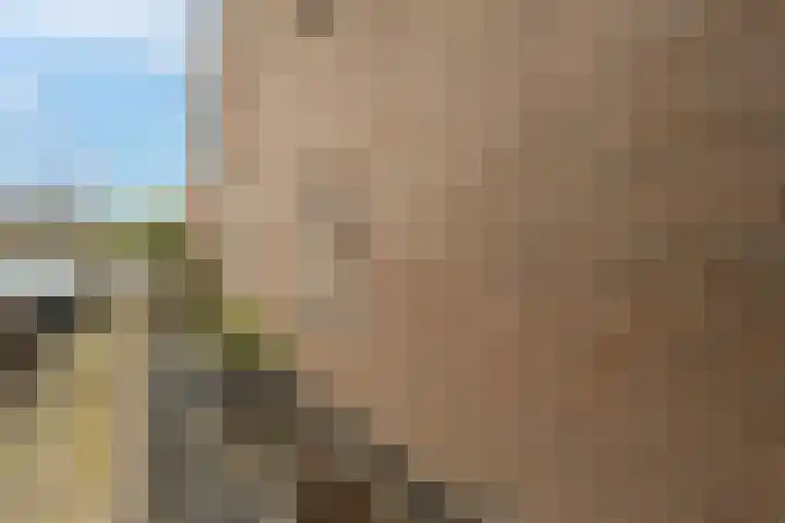 Windmolen 25 Ridderkerk thumbnail 37