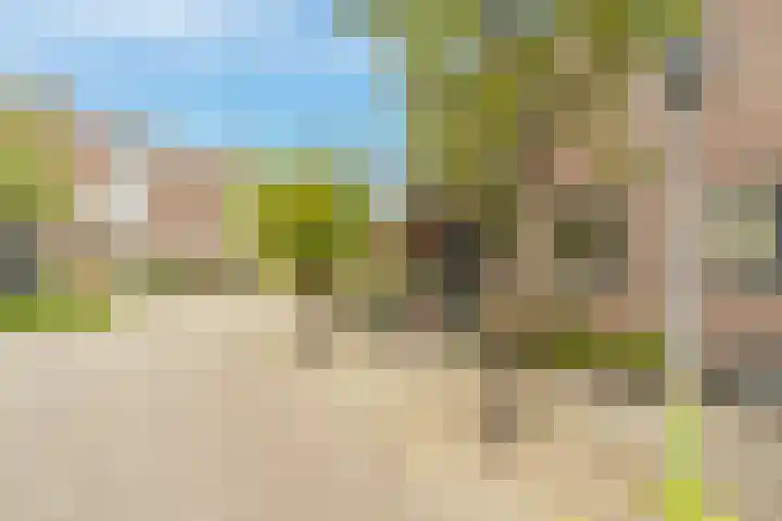 Windmolen 25 Ridderkerk thumbnail 38