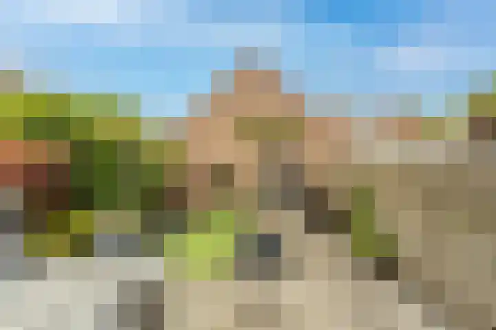 Windmolen 25 Ridderkerk thumbnail 5