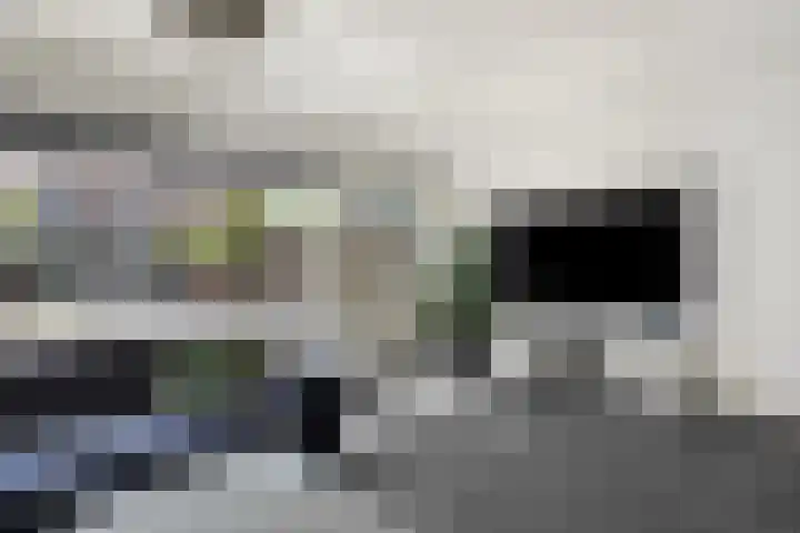 Windmolen 27 Heerhugowaard thumbnail 13
