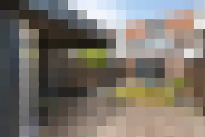 Windmolen 27 Heerhugowaard thumbnail 34