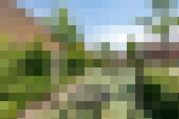 Windmolen 27 Heerhugowaard thumbnail 38