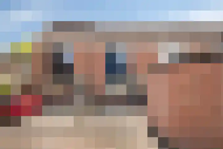 Windmolen 27 Heerhugowaard thumbnail 7