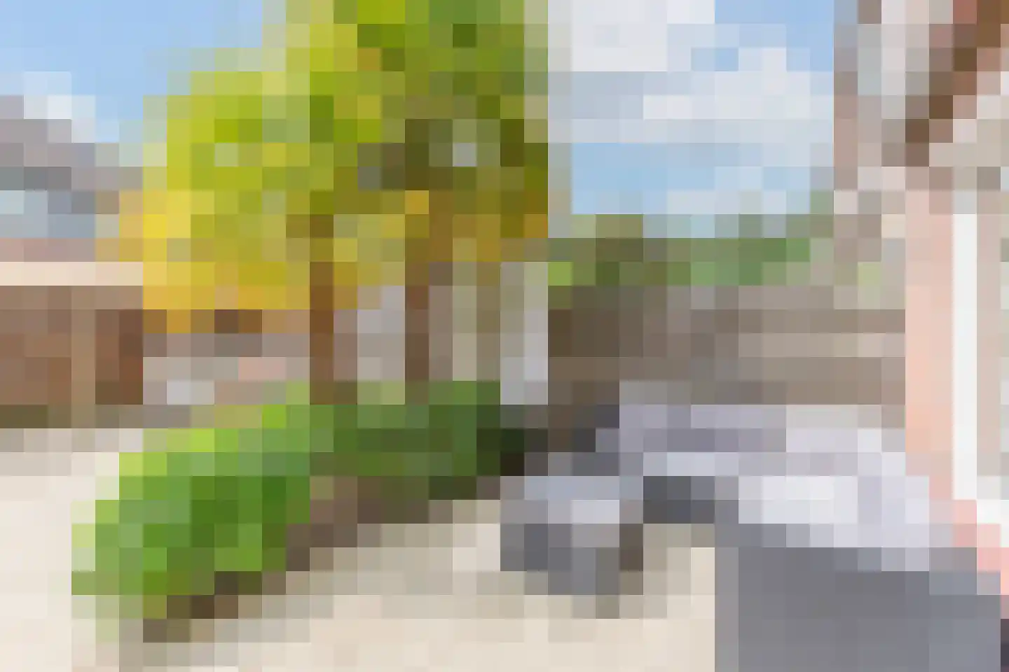 Windmolen 3 Heerhugowaard thumbnail 43