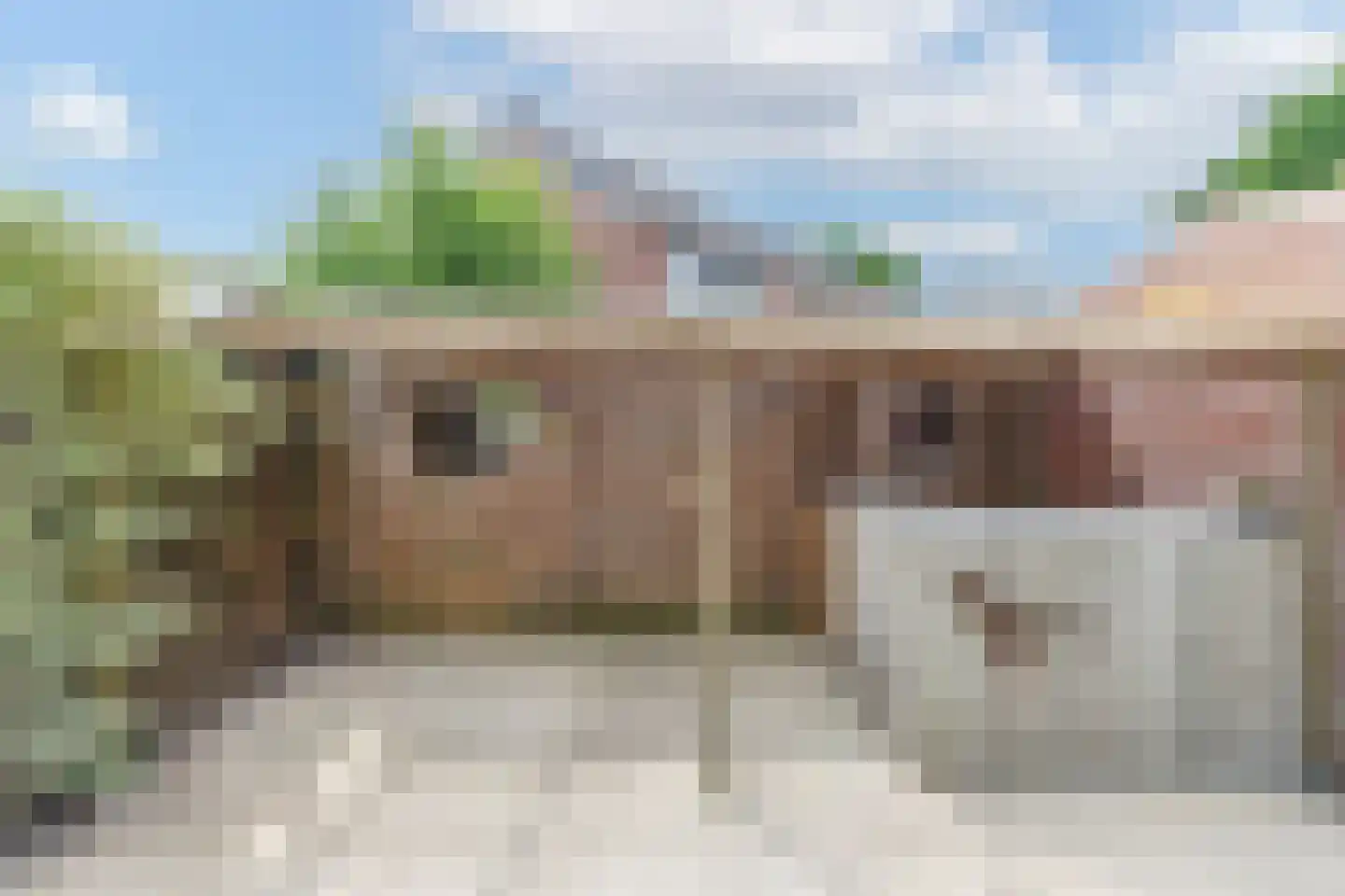 Windmolen 3 Heerhugowaard thumbnail 45