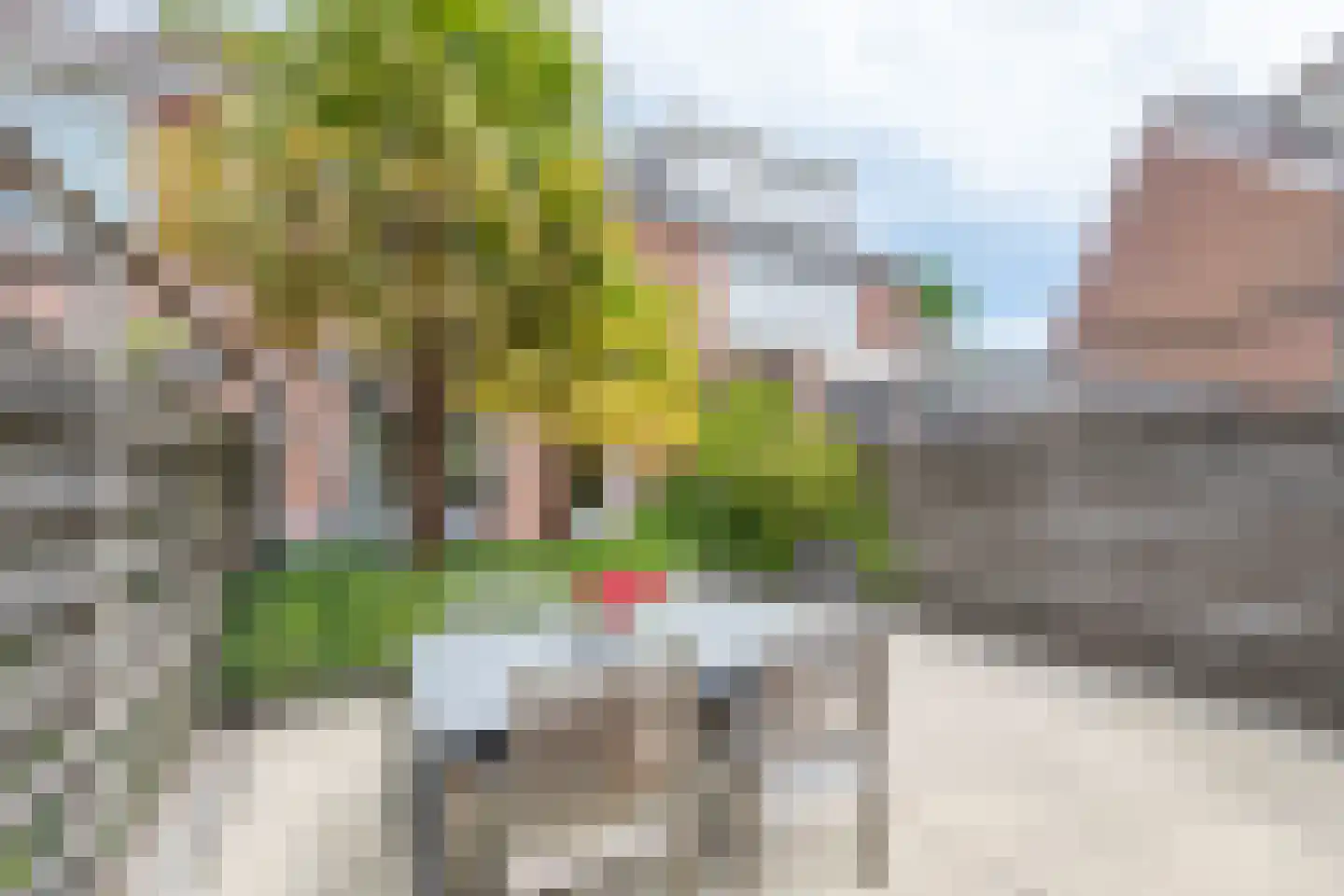 Windmolen 3 Heerhugowaard thumbnail 47