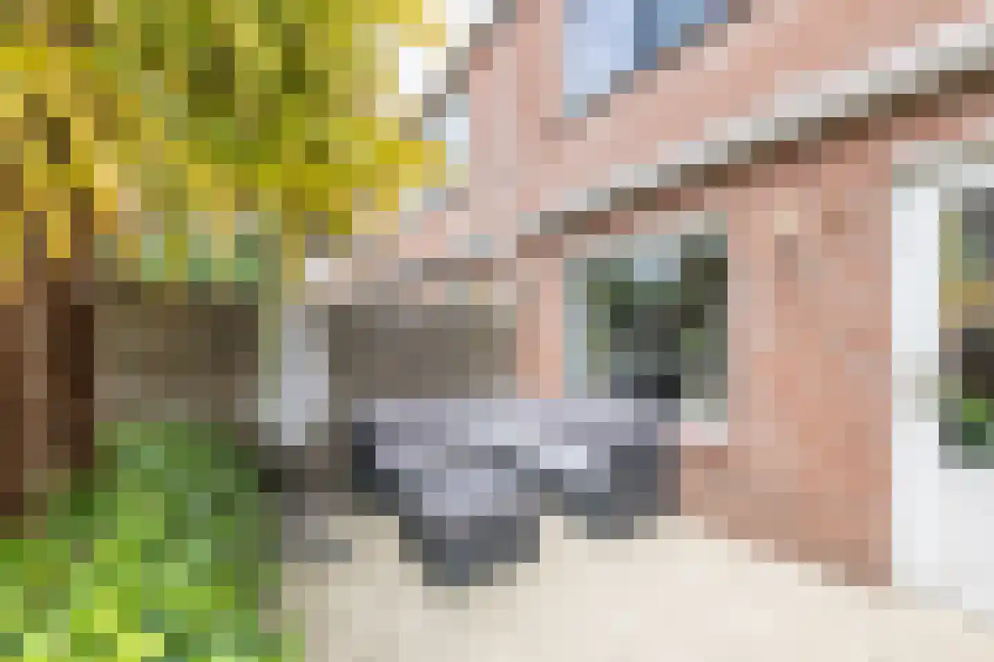 Windmolen 3 Heerhugowaard thumbnail 48