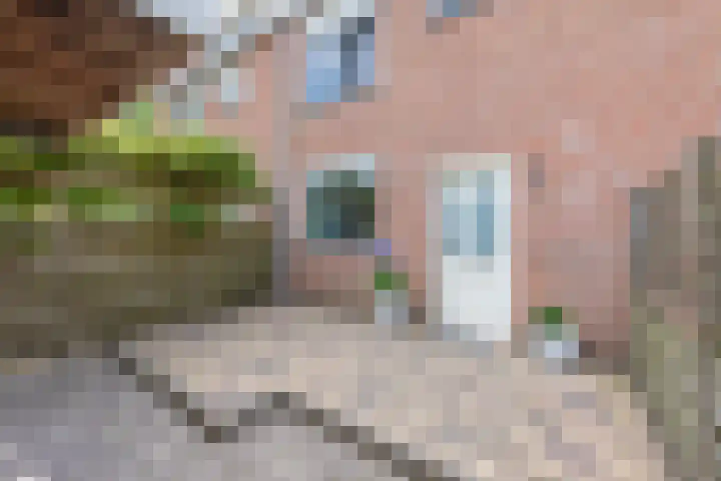 Windmolen 3 Heerhugowaard thumbnail 7