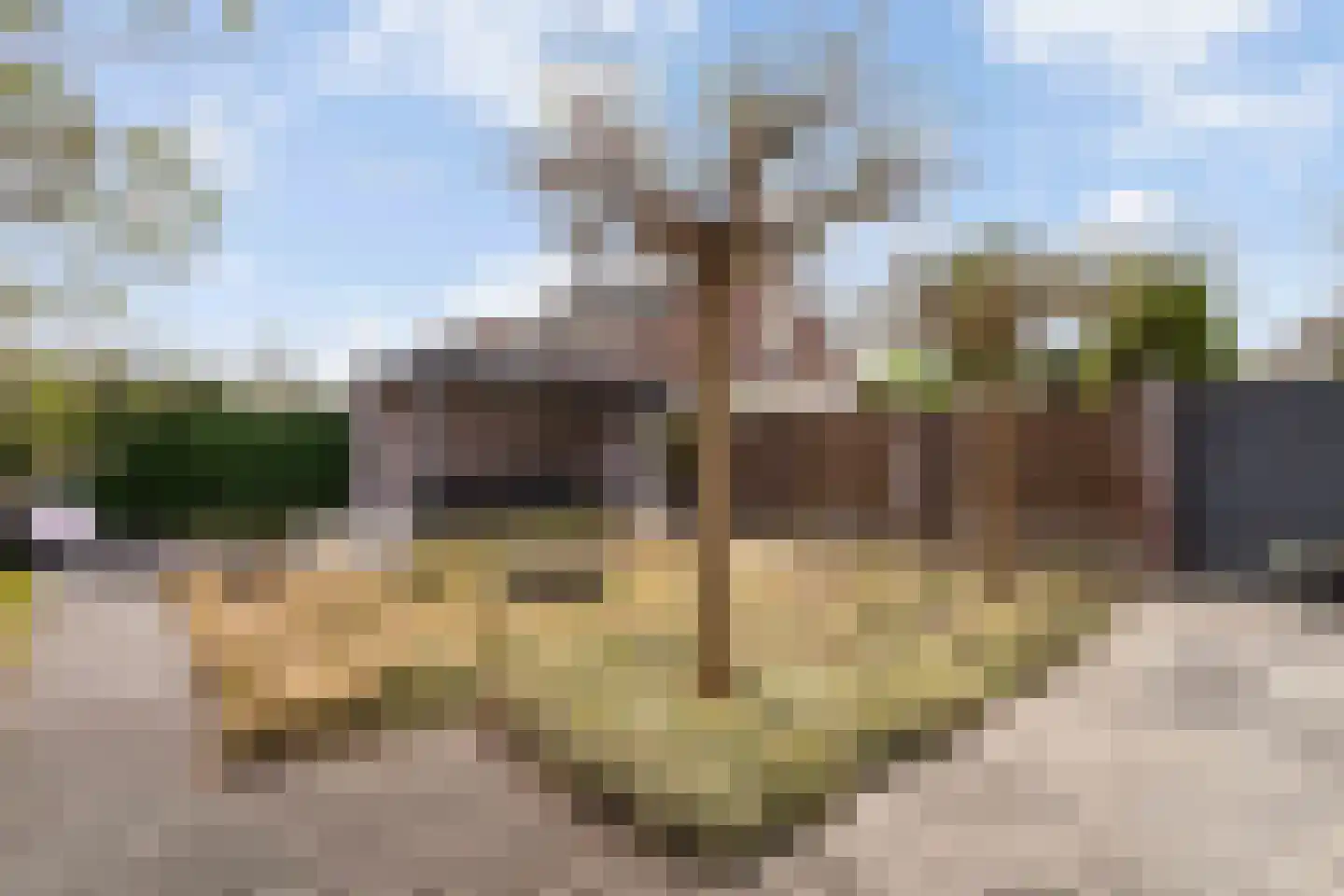 Windmolen 37 Weert thumbnail 39