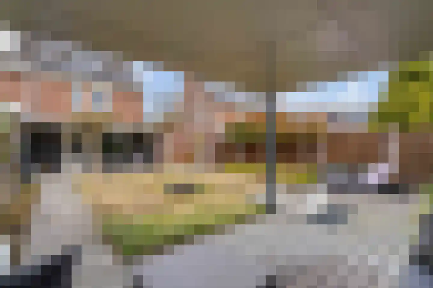 Windmolen 37 Weert thumbnail 41