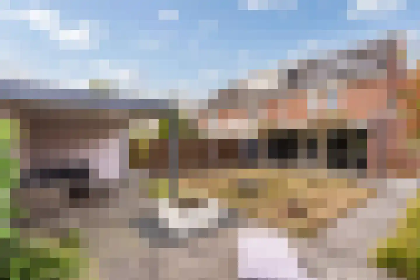 Windmolen 37 Weert thumbnail 43