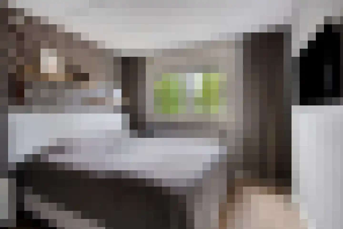 Windmolen 4 Edam thumbnail 19