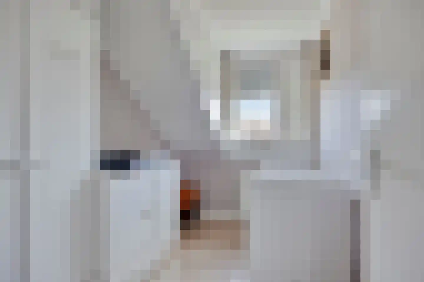 Windmolen 4 Edam thumbnail 24