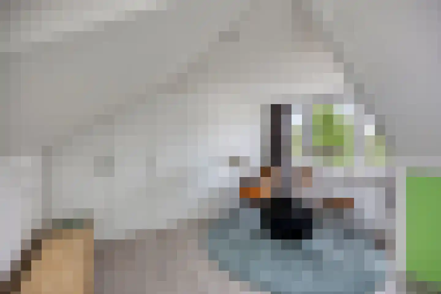 Windmolen 4 Edam thumbnail 26