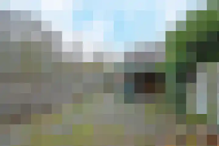 Windmolen 43 Wateringen thumbnail 16