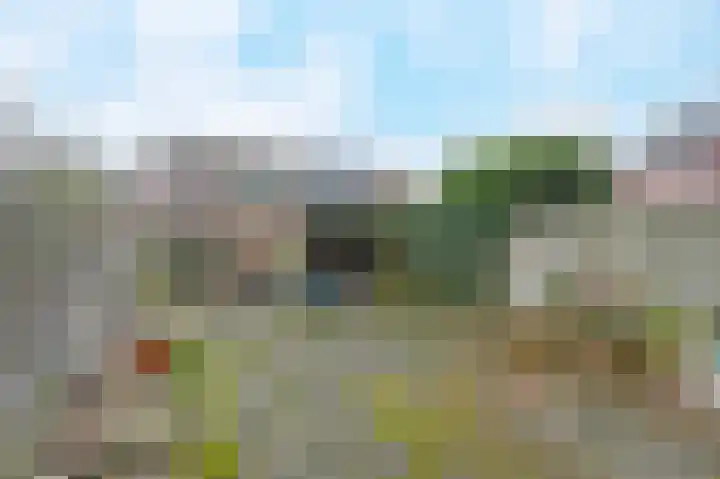 Windmolen 43 Wateringen thumbnail 4