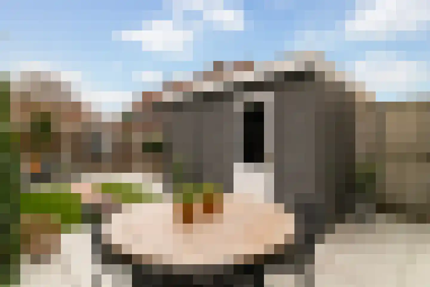 Windmolen 44 Ridderkerk thumbnail 40