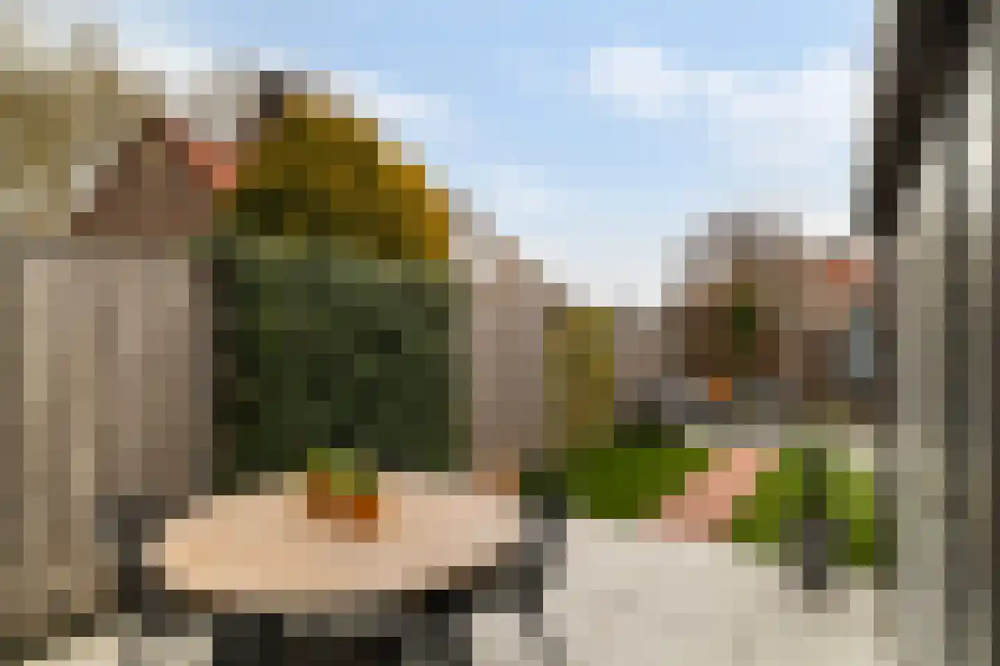 Windmolen 44 Ridderkerk thumbnail 41
