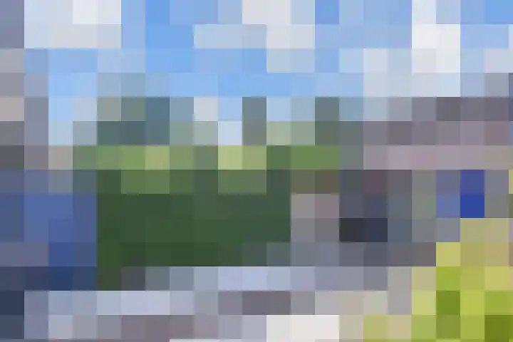 Windmolen 47 Wateringen thumbnail 34