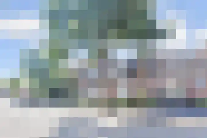 Windmolen 47 Wateringen thumbnail 66