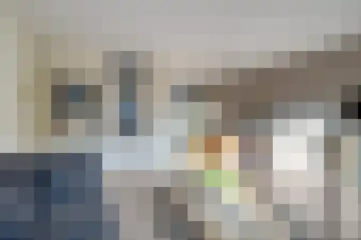 Windmolen 5 Heerhugowaard thumbnail 12