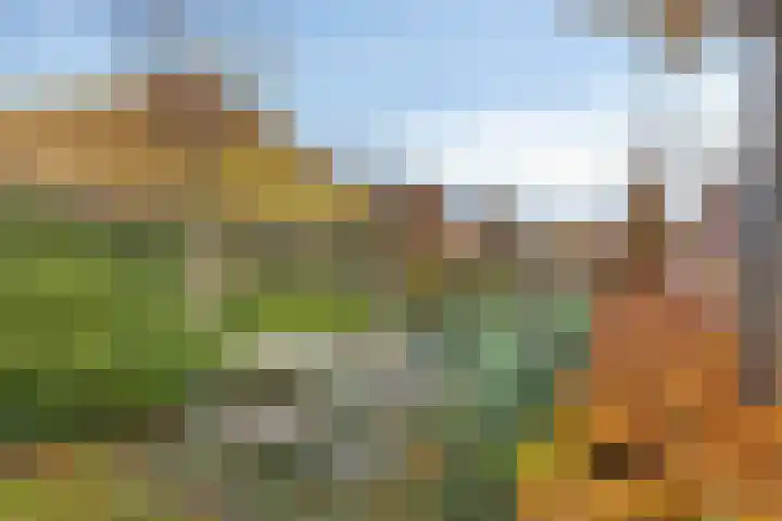 Windmolen 5 Heerhugowaard thumbnail 35