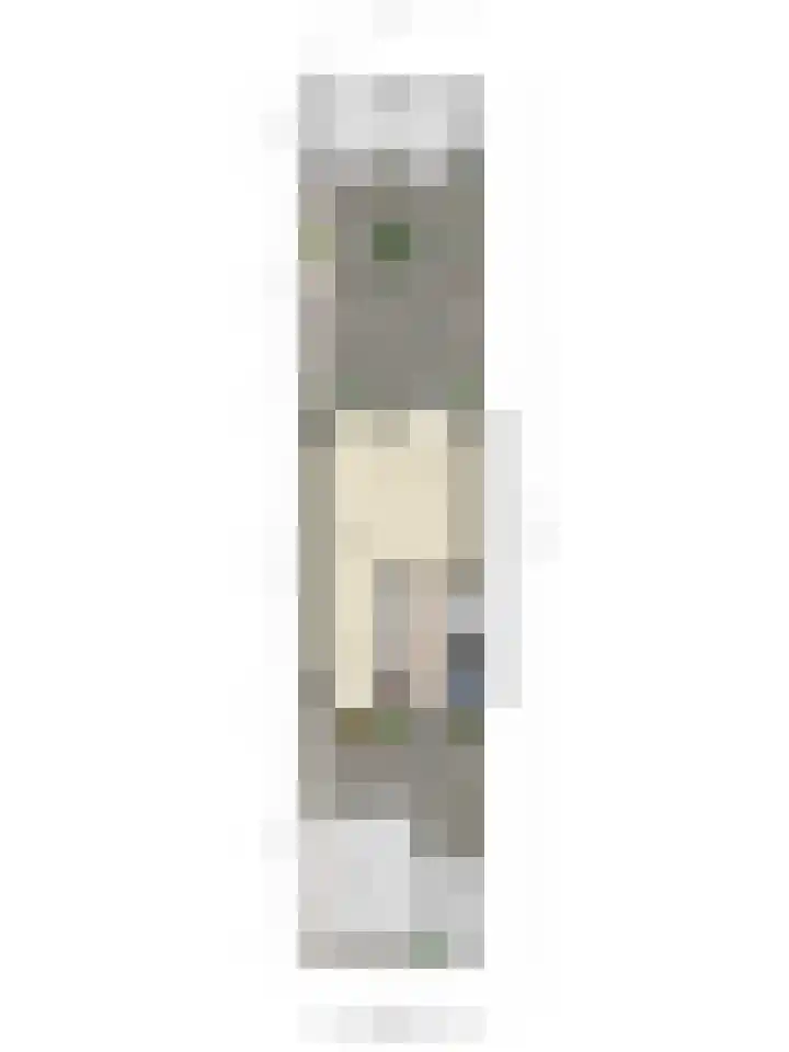Windmolen 5 Heerhugowaard thumbnail 39