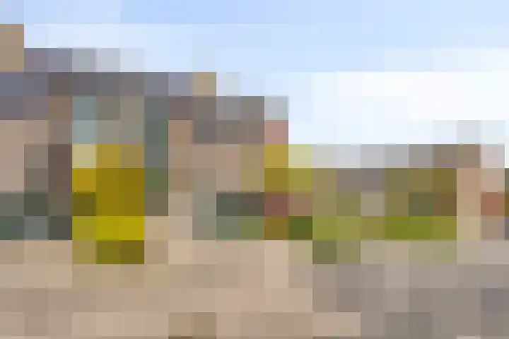 Windmolen 51 Hoorn thumbnail 31