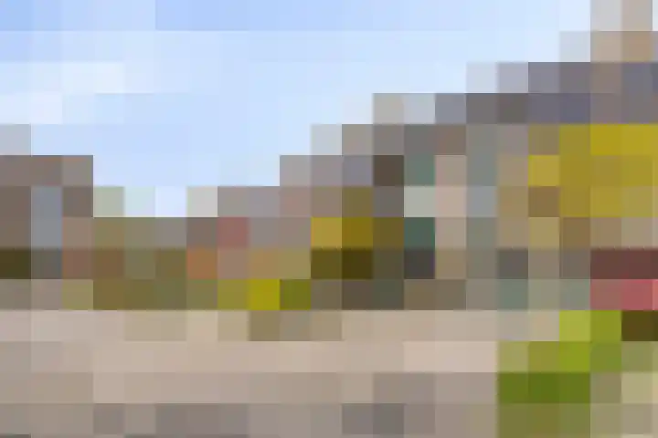 Windmolen 51 Hoorn thumbnail 32