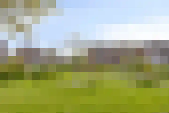 Windmolen 51 Hoorn thumbnail 33