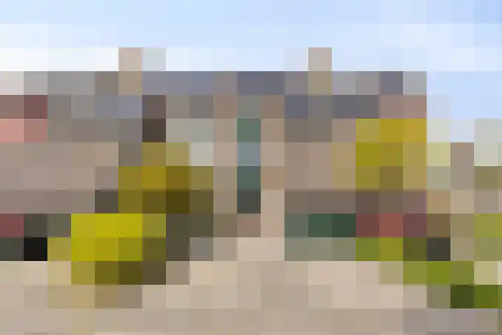 Windmolen 51 Hoorn thumbnail 41