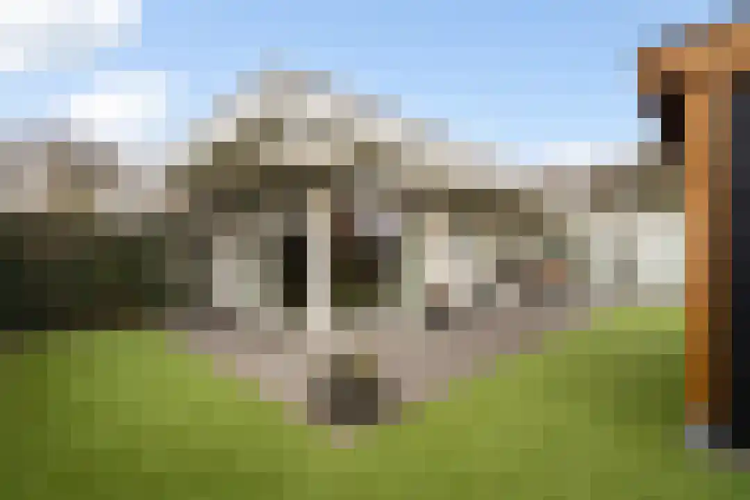 Windmolen 54 Weert thumbnail 34