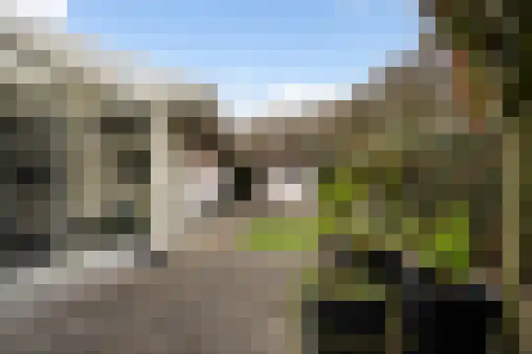 Windmolen 54 Weert thumbnail 39