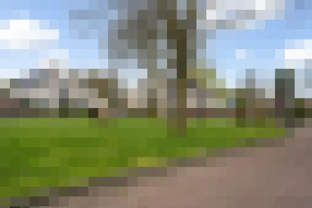 Windmolen 54 Weert thumbnail 47