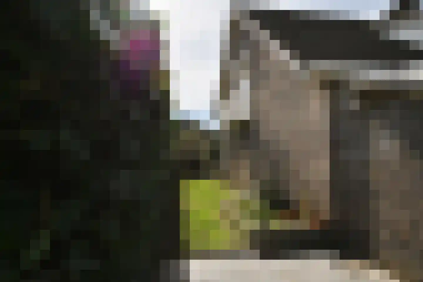 Windmolen 6 Nieuw-Vossemeer thumbnail 36