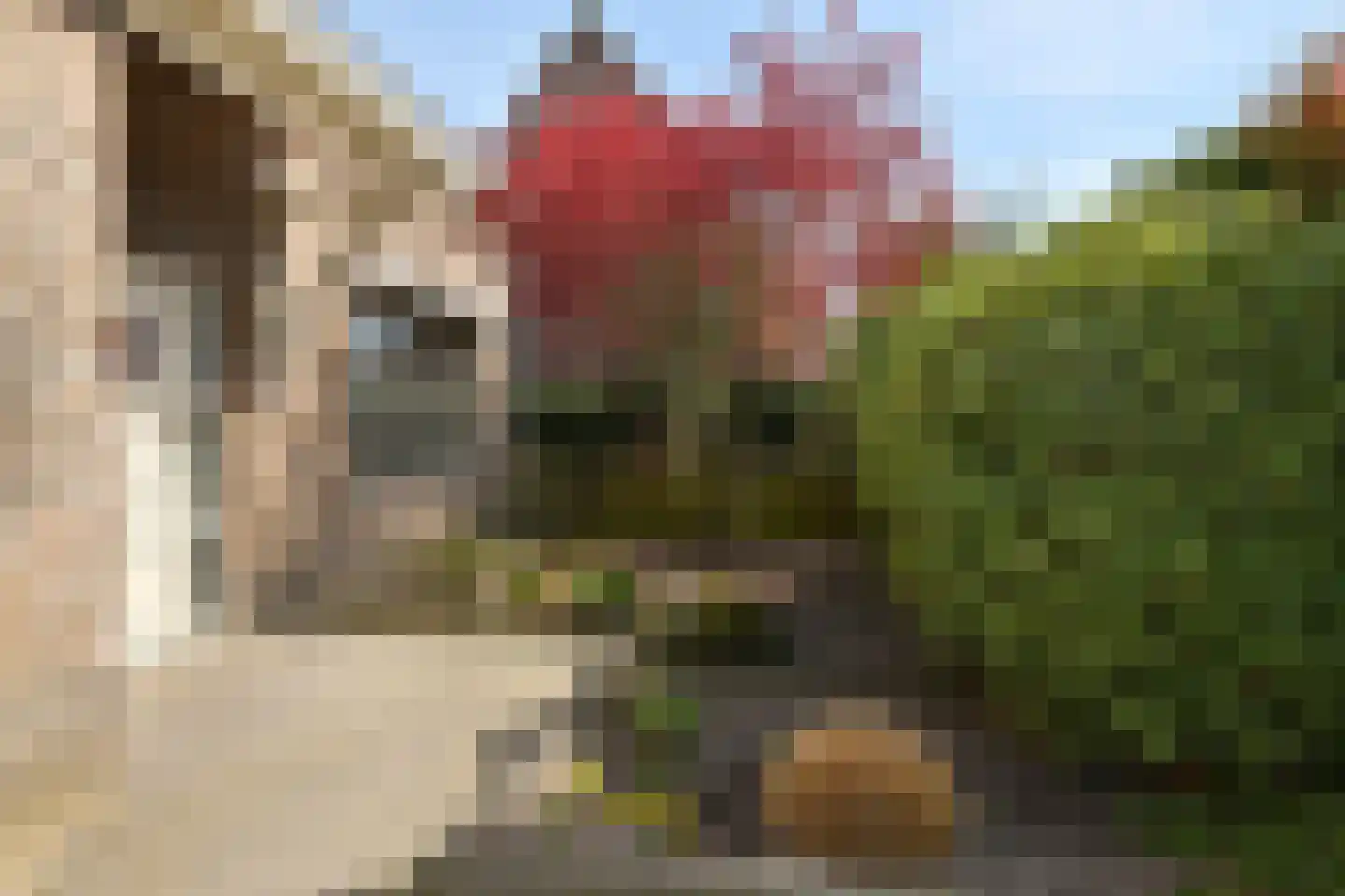 Windmolen 6 Nieuw-Vossemeer thumbnail 4