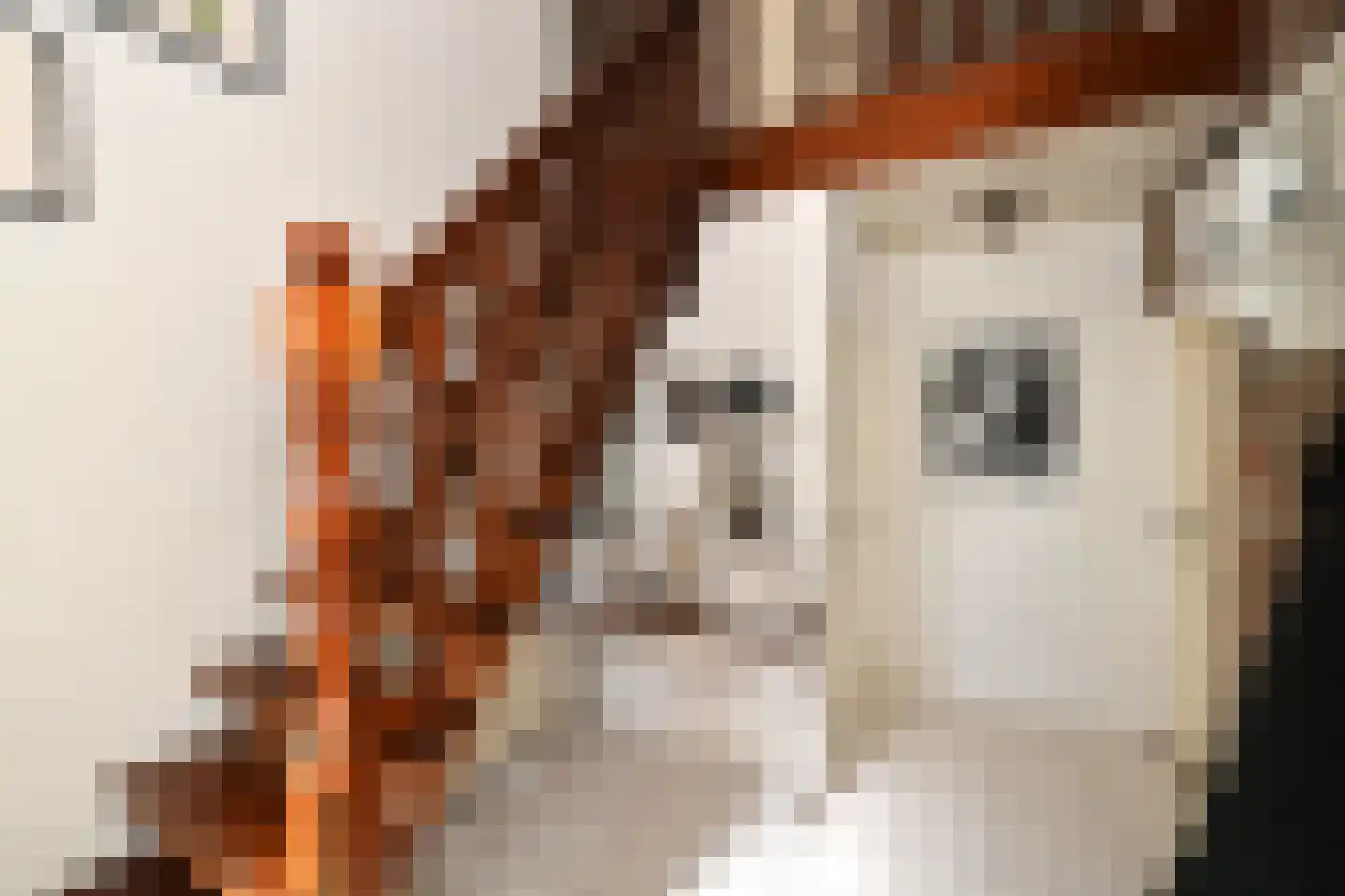 Windmolen 6 Nieuw-Vossemeer thumbnail 5