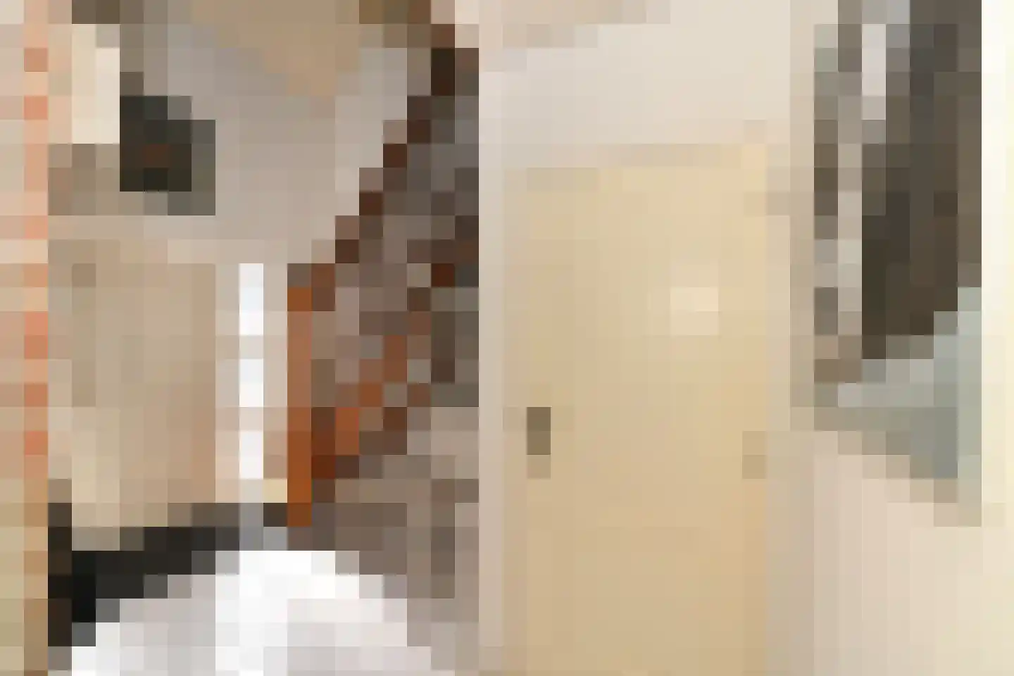 Windmolen 6 Nieuw-Vossemeer thumbnail 6