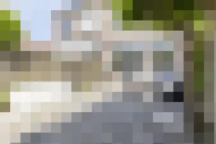 Windmolen 62 Ridderkerk thumbnail 31