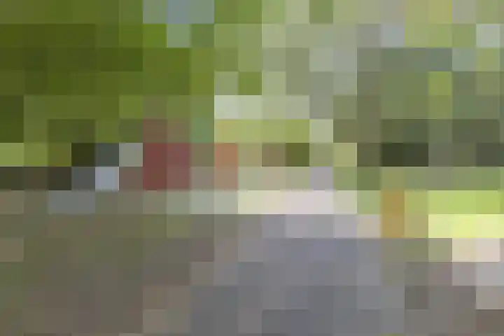 Windmolen 62 Ridderkerk thumbnail 33