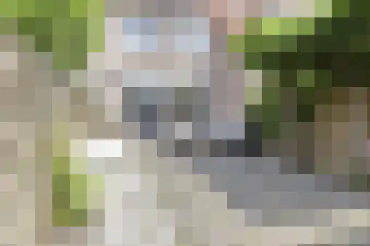 Windmolen 62 Ridderkerk thumbnail 4